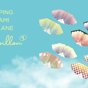 Papillon Origami Airplanes